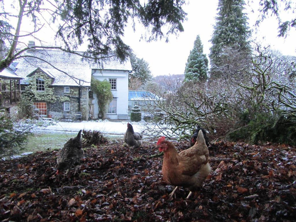 Walker Ground Manor Bed & Breakfast Hawkshead Luaran gambar